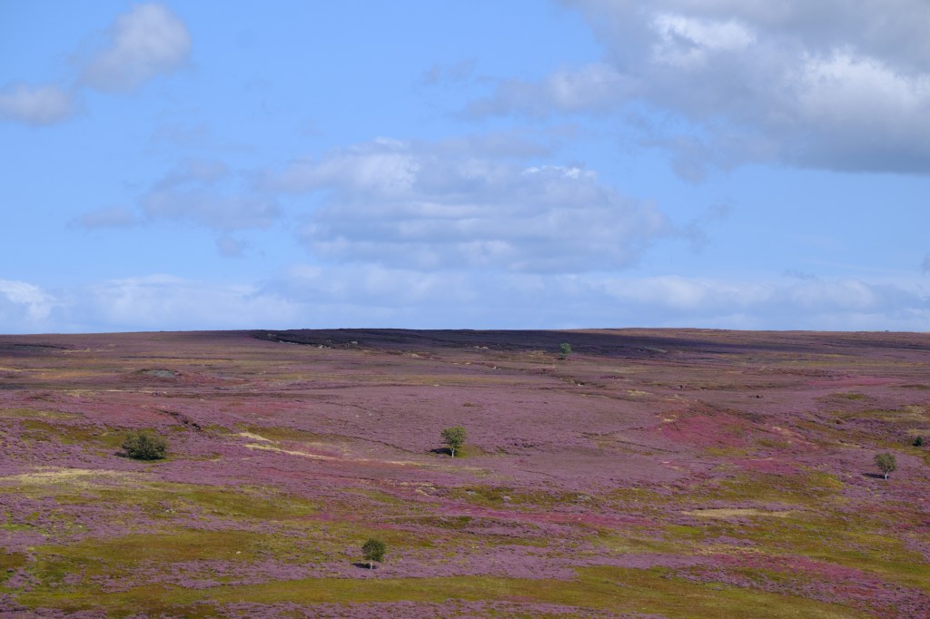 Fujifilm XF 70-300mm landscape sample image