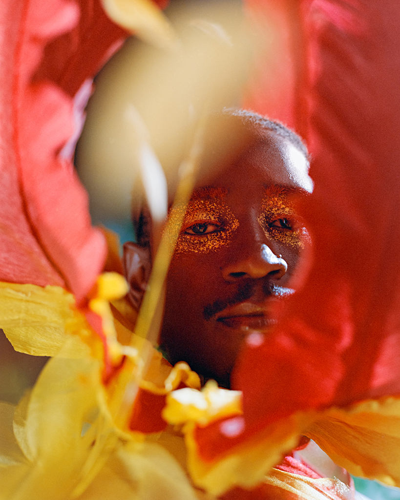 man peers through some large flower petals towards the camera