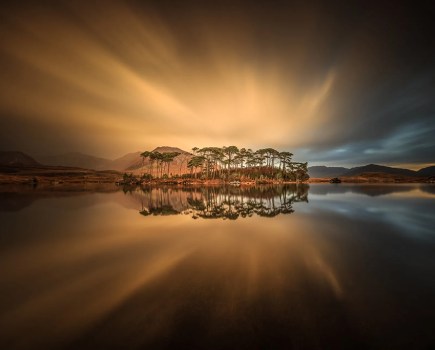 long exposure landscape photo of orange sky behind pine trees