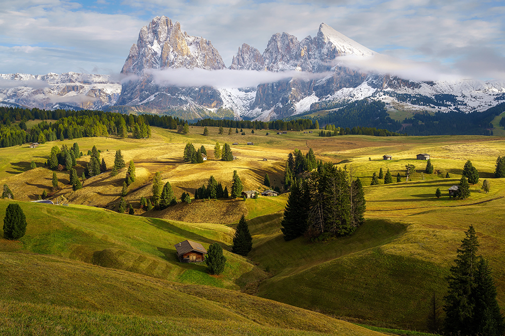 Alpine pasture in Italy’s Dolomites