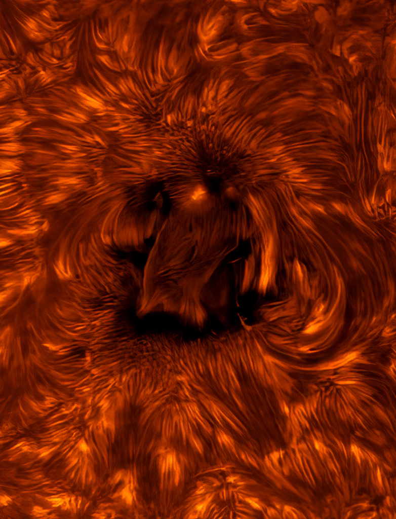 chromosphere is the most picturesque part of the Sun. Composed of hydrogen and helium plasma, it is manipulated by the intense and tangled magnetic fields of the Sun