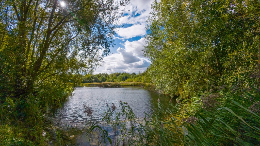 DJI Nano sample photo. Image Matty Graham