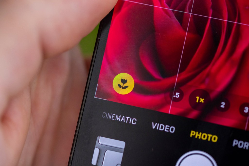 iPhone Macro feature. Image credit: Dan Mold