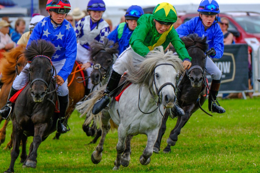 Fujifilm X-H2 sample image, pony race