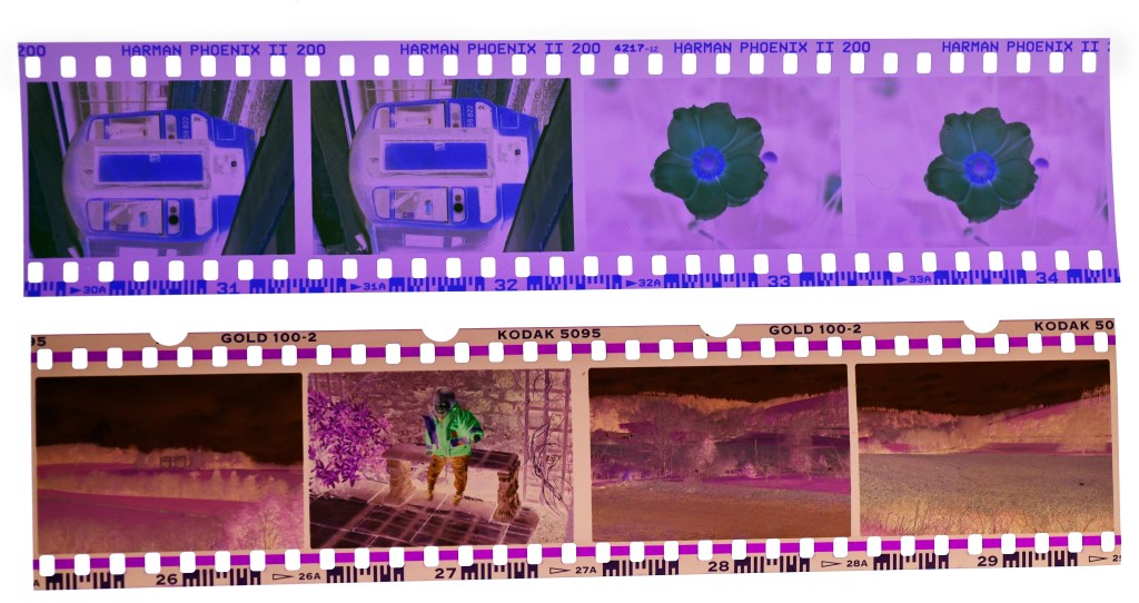 Harman Phoenix II negatives