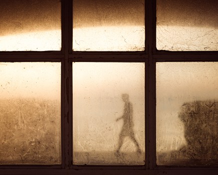 silhouette through window pane