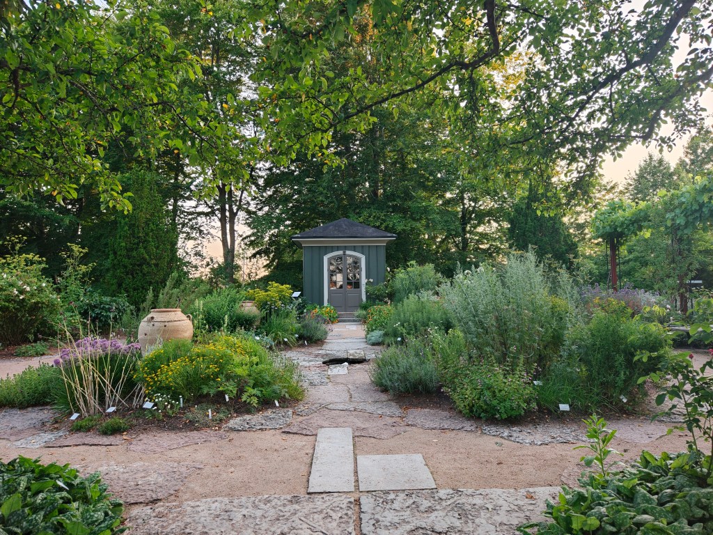 garden scene with blue shed at the back taken using oppo find x8 ultra