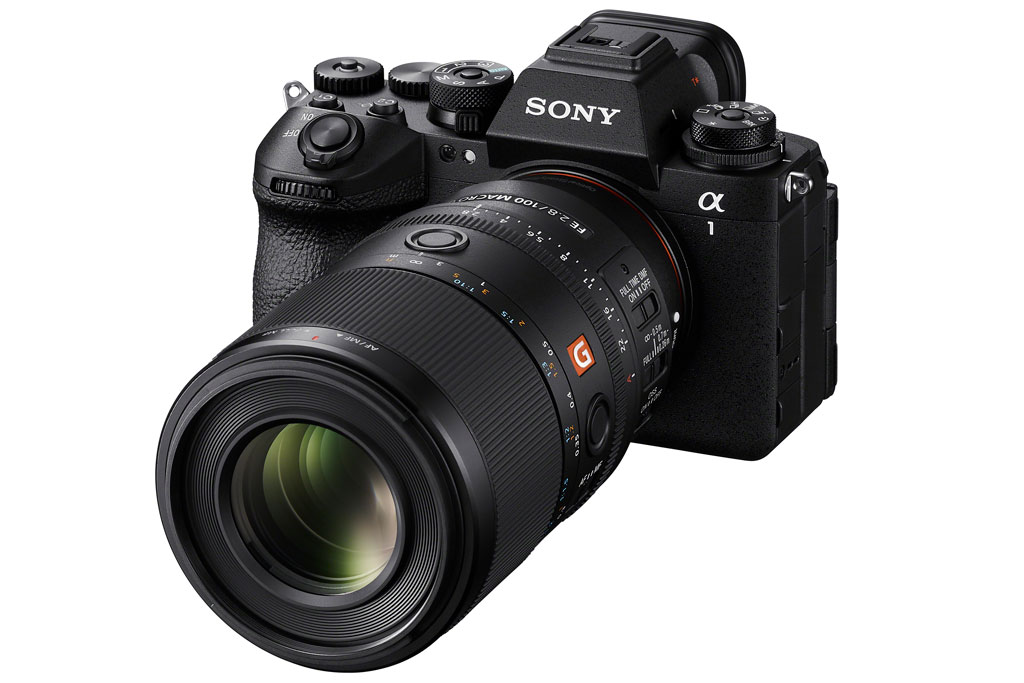 Sony FE 100mm F2.8 Macro GM OSS on the Sony A1 II
