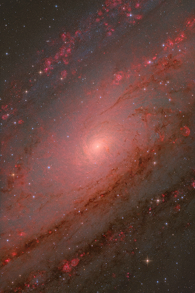 This image showcases the core of the Andromeda Galaxy (M31) in exceptional detail, captured using a long focal-length telescope.