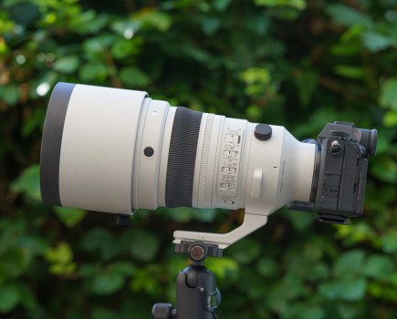 Sigma 200mm F2 DG OS Sports. Image credit: Angela Nicholson