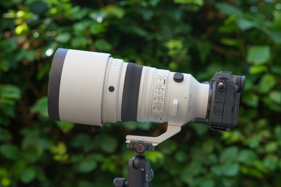 Sigma 200mm F2 DG OS Sports. Image credit: Angela Nicholson