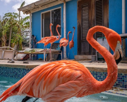 Jasper Doest. Curacao, 2023. Leica M11. © Jasper Doest