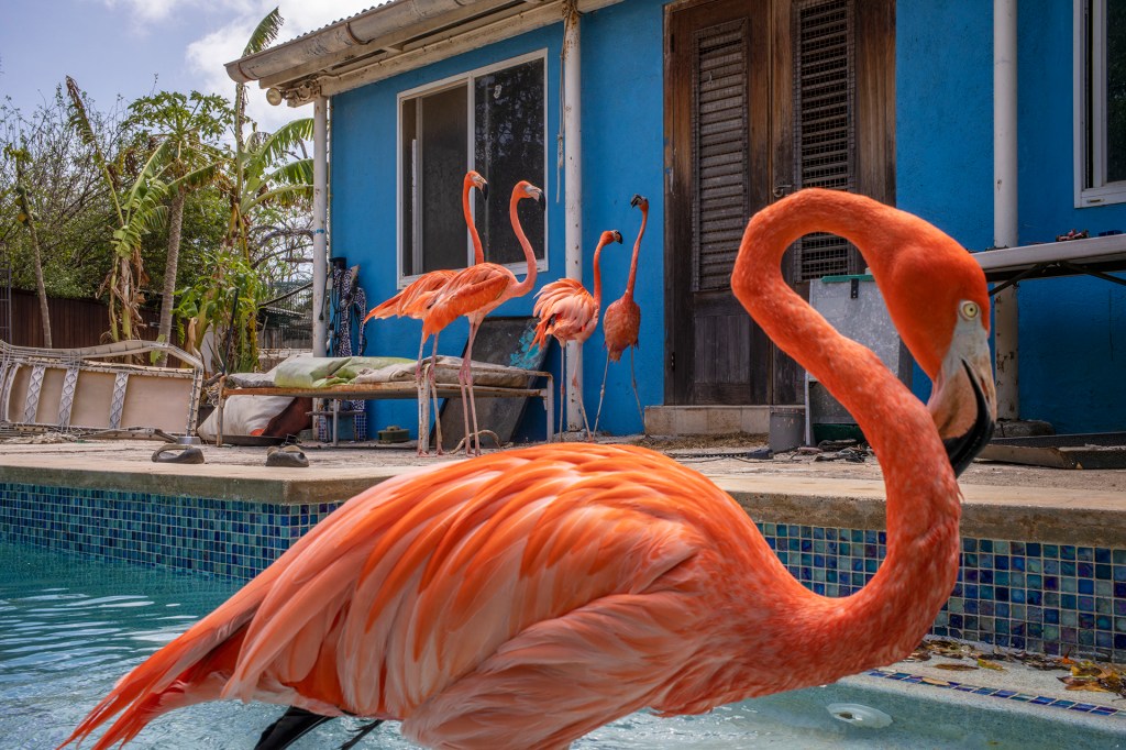 Jasper Doest. Curacao, 2023. Leica M11. © Jasper Doest