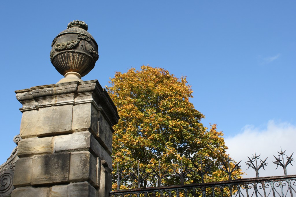 Canon EOS 550D. Image: Gavin Stoker. (Exposure/crop adjusted to match)