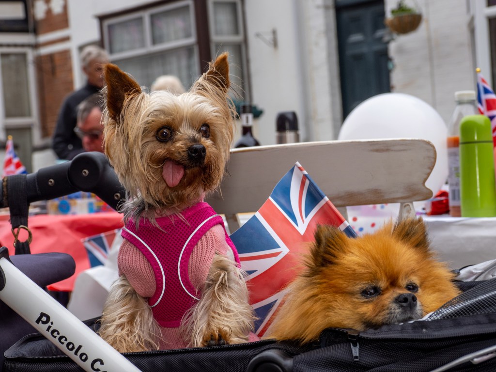 The Chelmsford Street party celebrating the Queen's Platinum Jubilee in full swing on June 05, 2022 in Weymouth, England. Image Credit: Peter Dench SINGLE USE ONLY