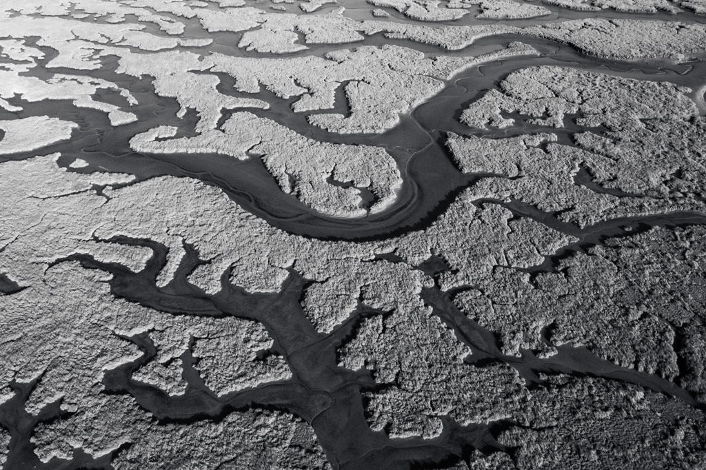 GOLD WINNER ENVIRONMENT Sean Breithaupt Patterns in a Floodzone Sean Breithaupt