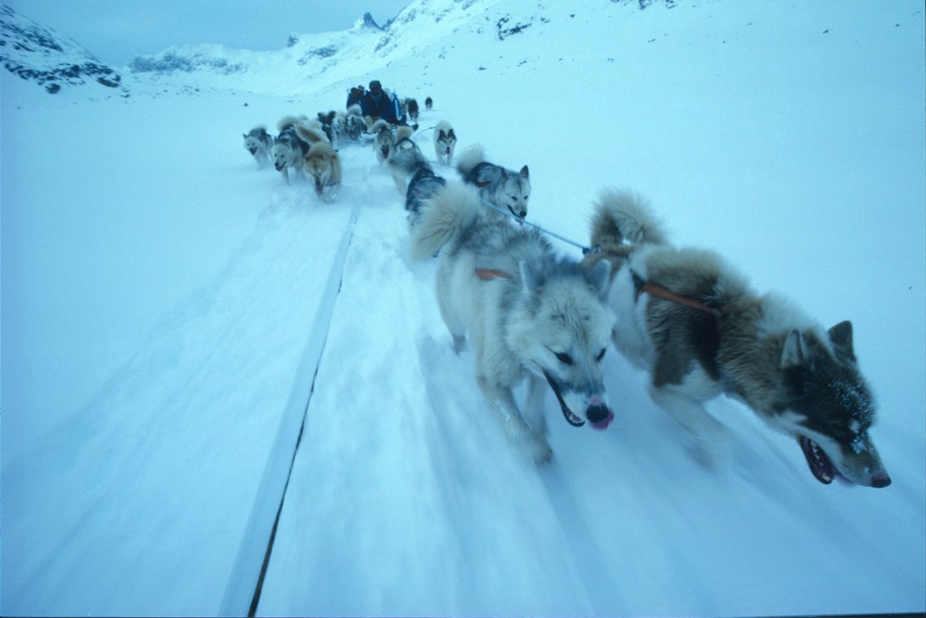 Dog sleds led the AP readers across frozen landscapes. Image Credit: Keith Wilson