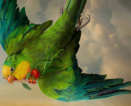 Joseph McGlennon, Pollen I, 2021