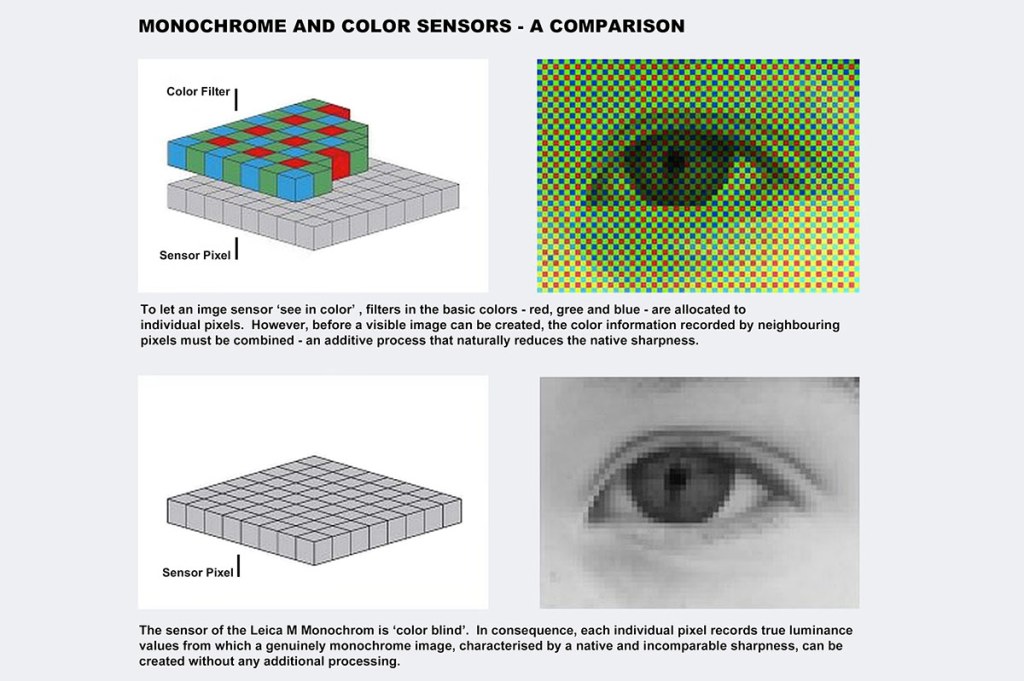 Monochrome sensor vs Bayer sensor, detail explained by Leica. Image courtesy: Leica