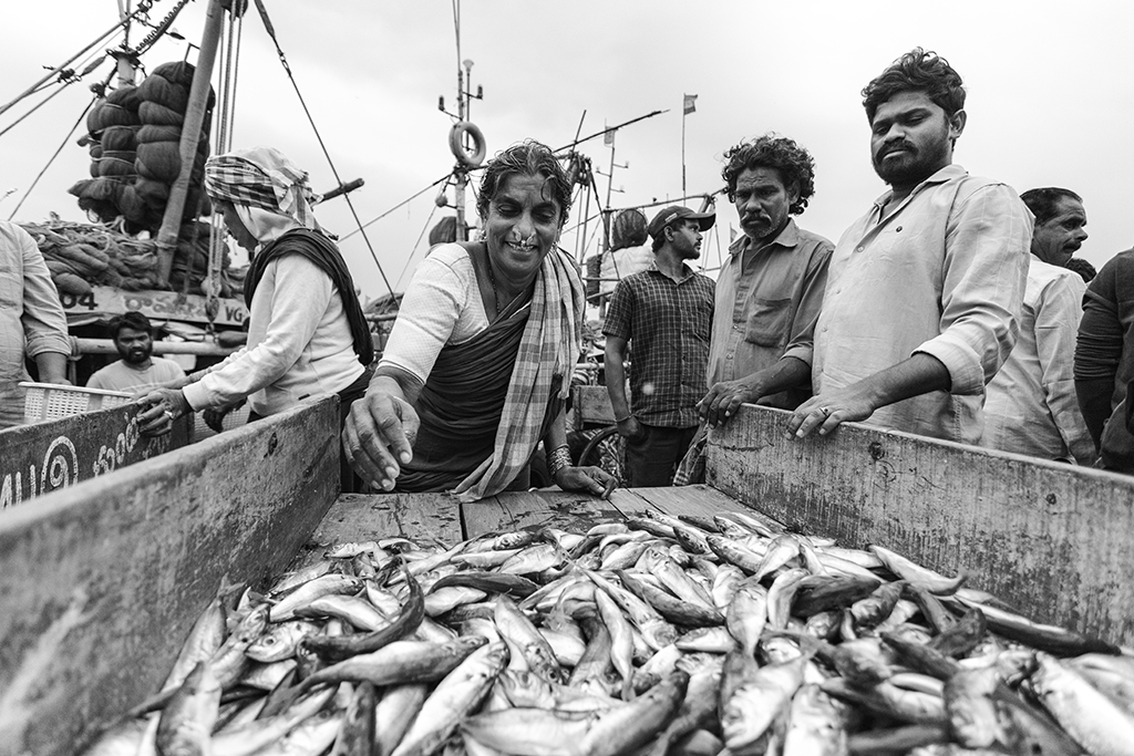 street fish market scene