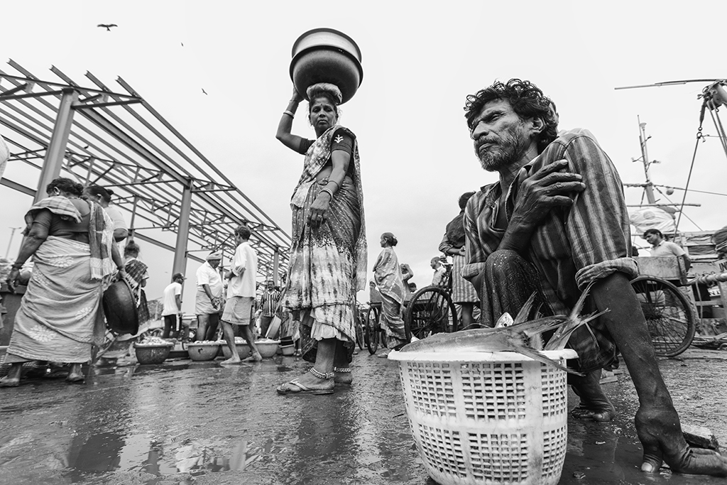 street fish market scene