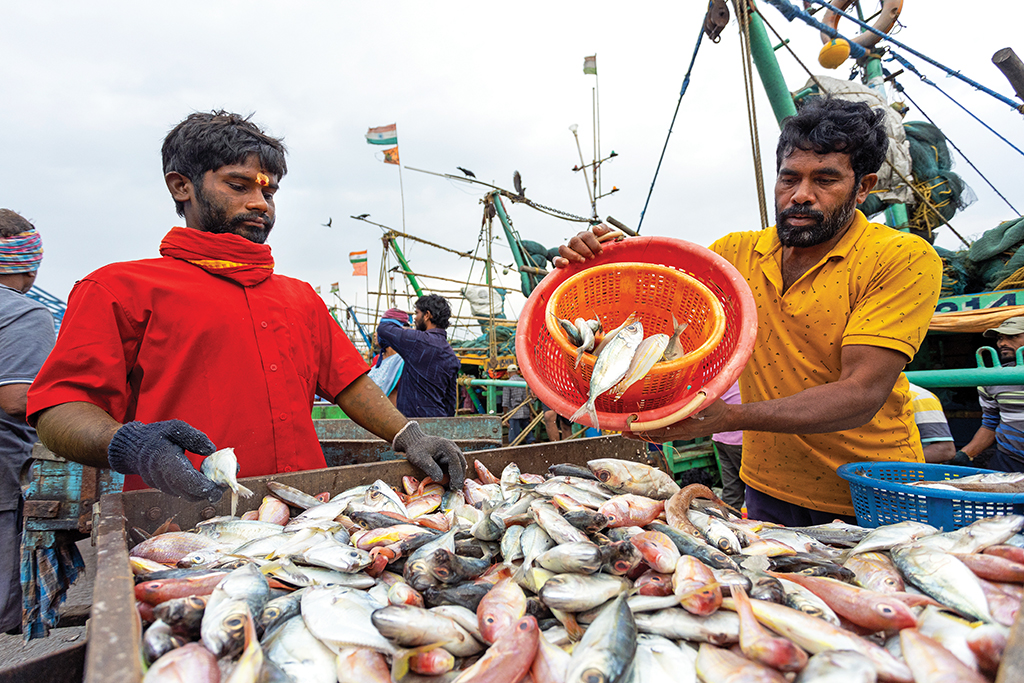 street fish market scene