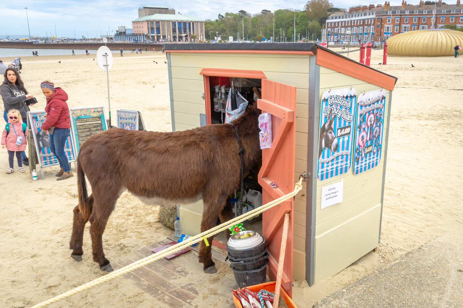 Six men, 38 photographs and a donkey – here’s what to expect