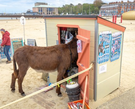 Promotional use only for the 2025 exhibition, Six Go Down to the Seaside. Image Credit: Si Jubb