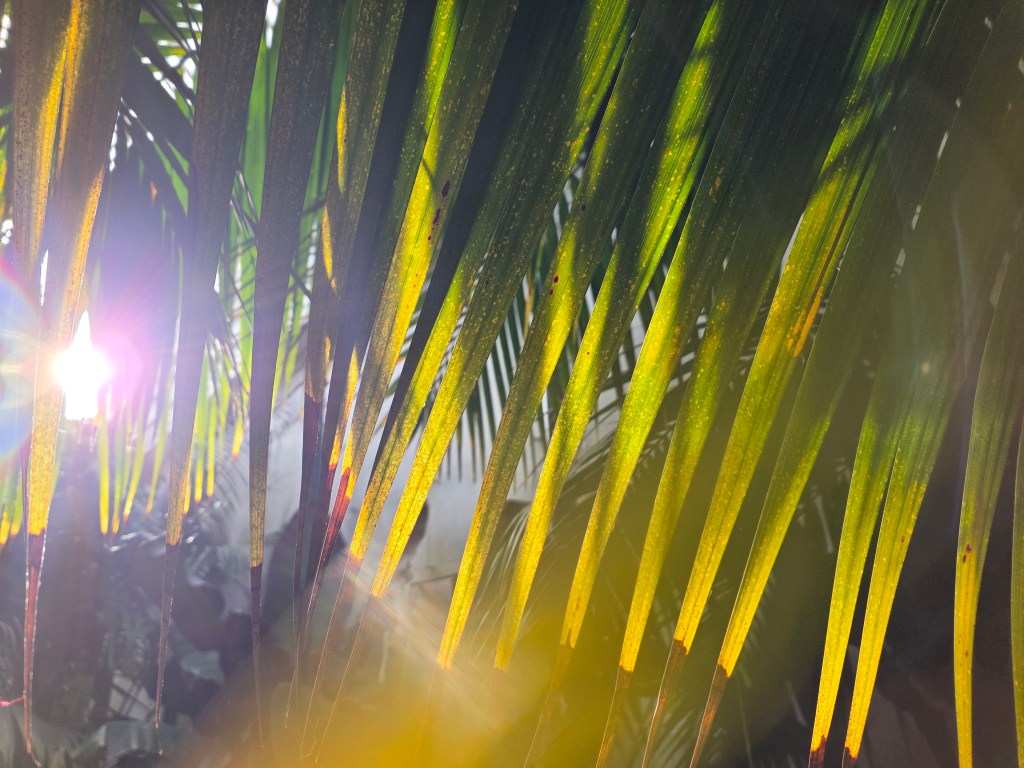 Samsung Galaxy Z Fold7. Image: Joshua Waller