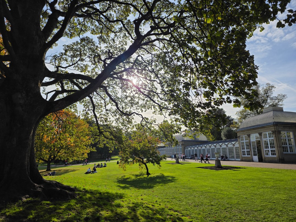 Samsung Galaxy Z Fold7. Image: Joshua Waller