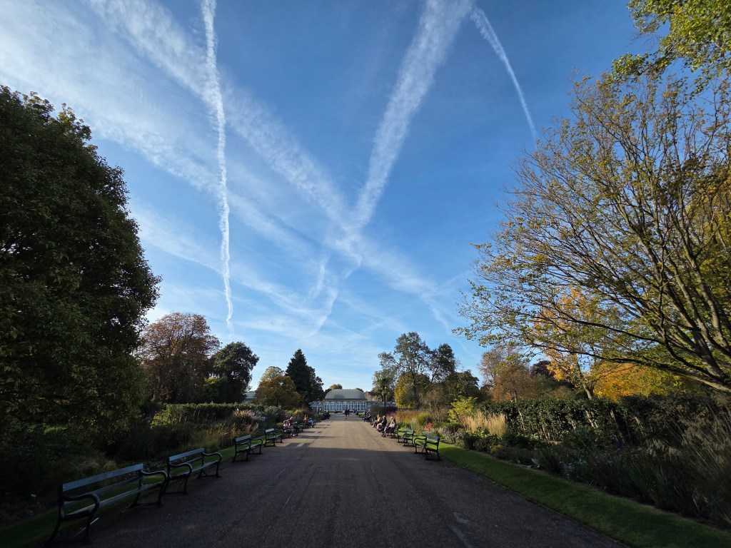 Samsung Galaxy Z Fold7 ultra-wide. Image: Joshua Waller