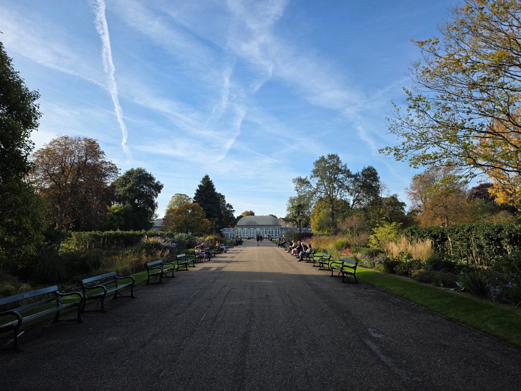 Samsung Galaxy Z Fold7 wide. Image: Joshua Waller