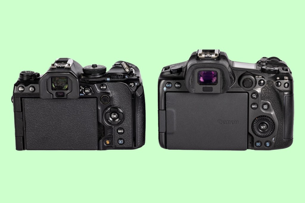 MFT vs full-frame