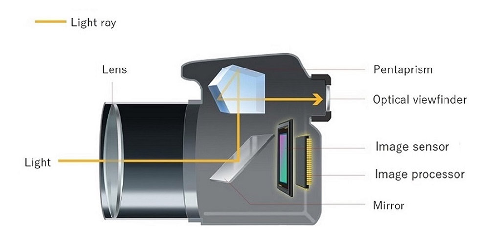 Canon DSLR optical path explained. Image courtesy: Canon