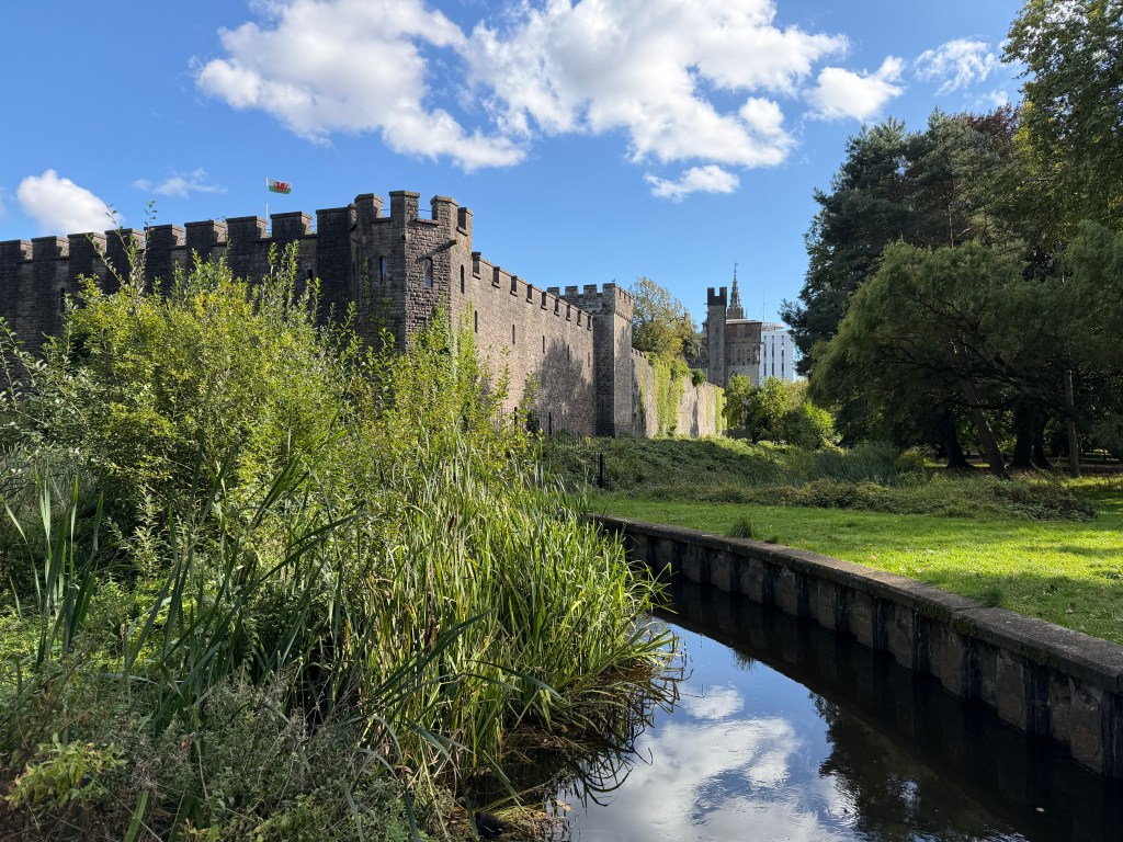 iPhone 17 Pro 1x lens. Image credit: Amy Davies