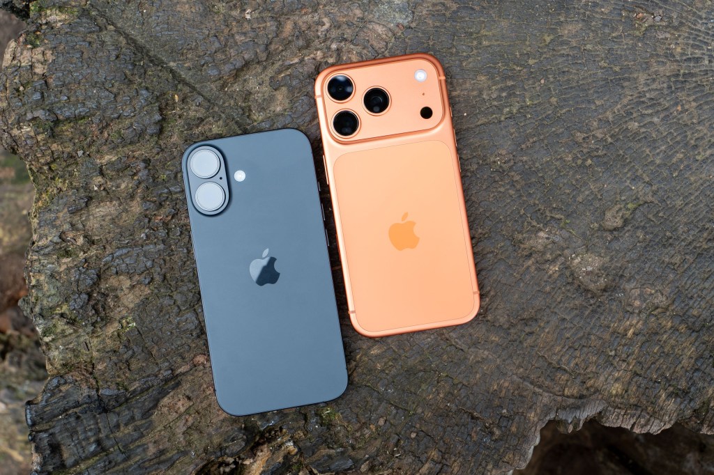 iPhone 17 Pro vs iPhone 17 side by side