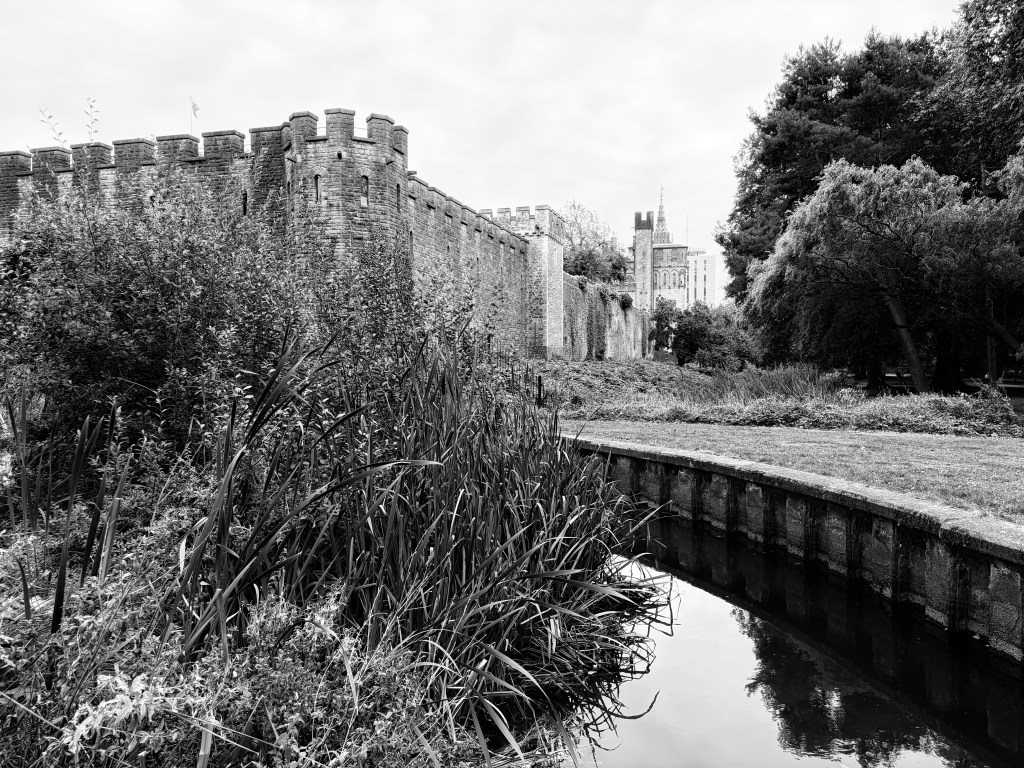 You can use Picture Styles to create different looks, such as here, the “Stark B&W” preset