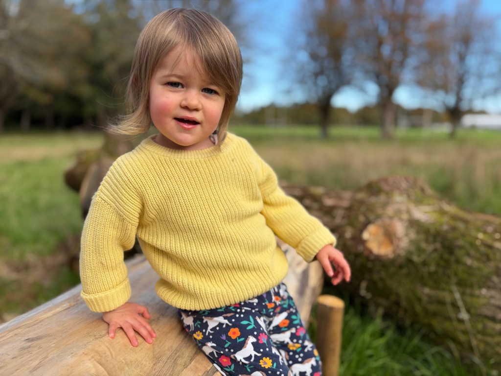 iPhone 17 portrait sample
