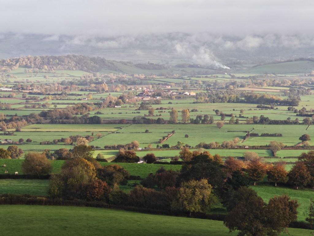 Honor 400 Pro advertorial