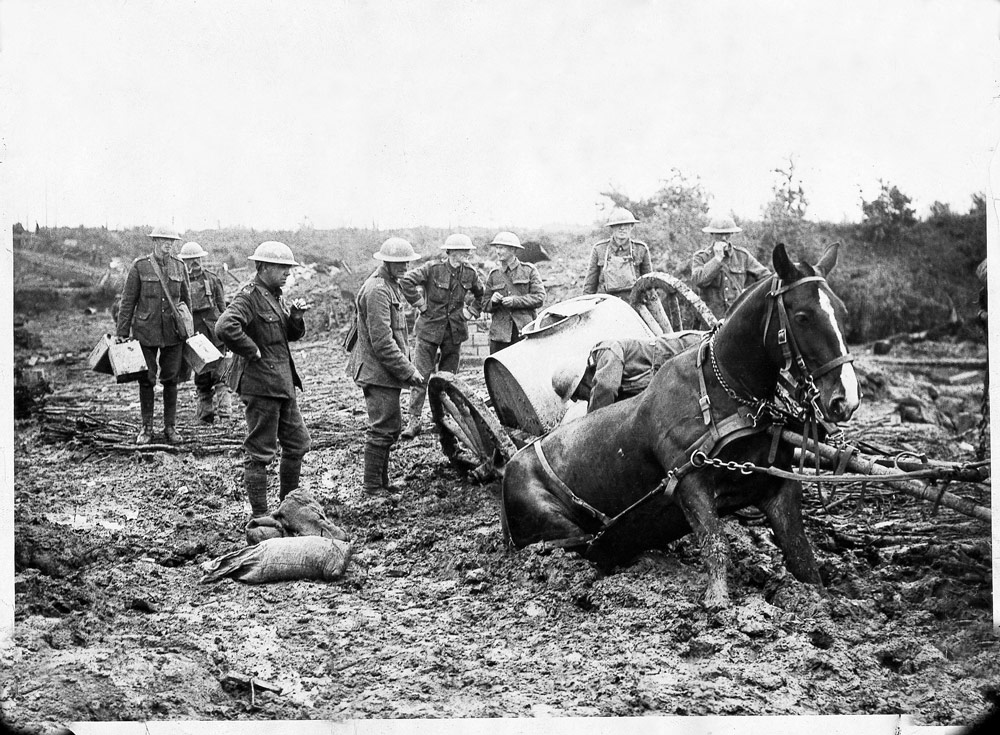 WW1 book