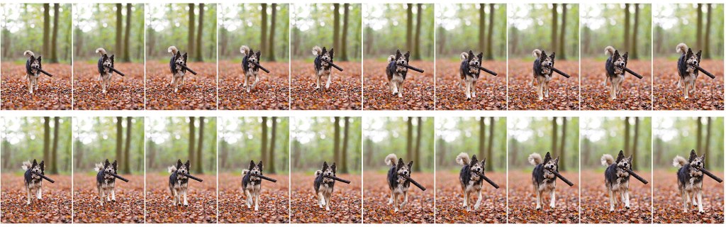 Nikon mirrorless vs DSLR