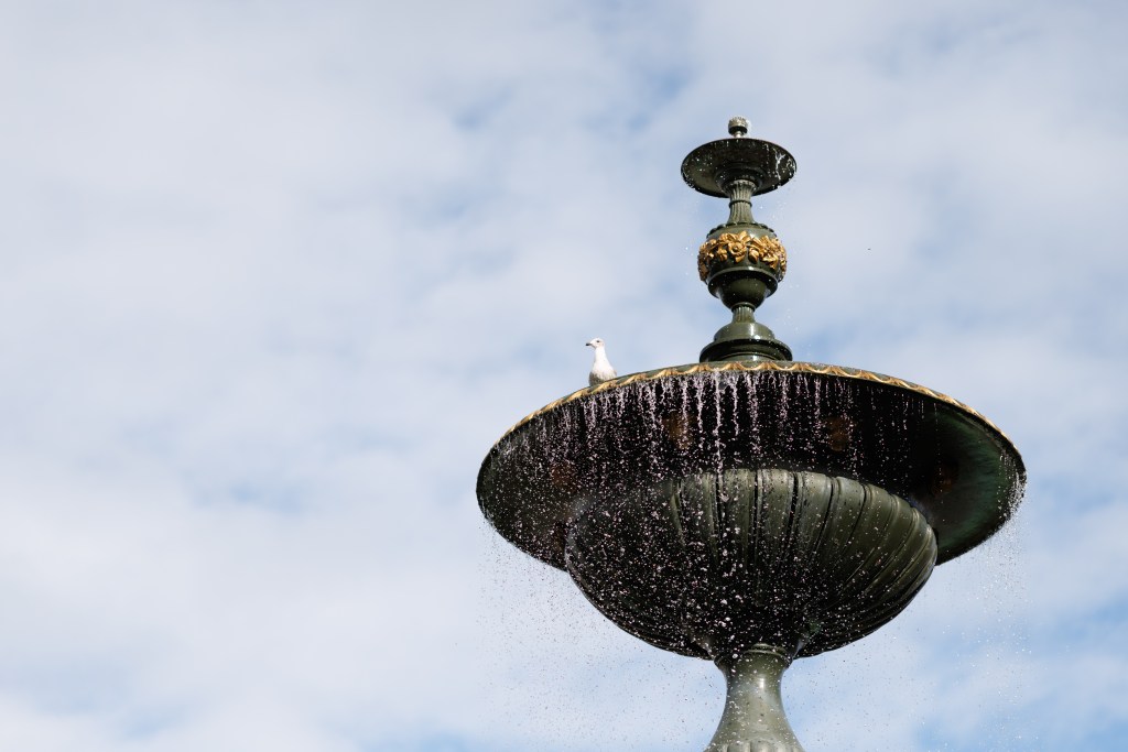Canon R 85mm F1.4L VCM lens sample