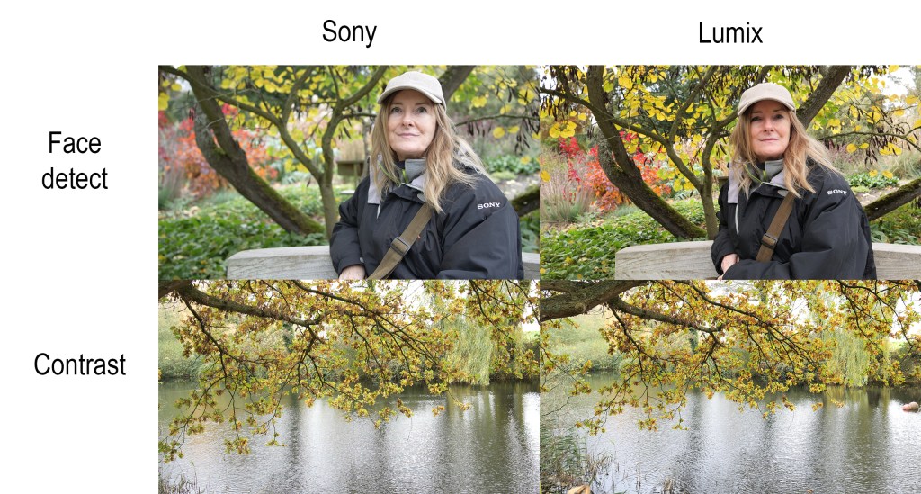 Sony vs Lumix for video