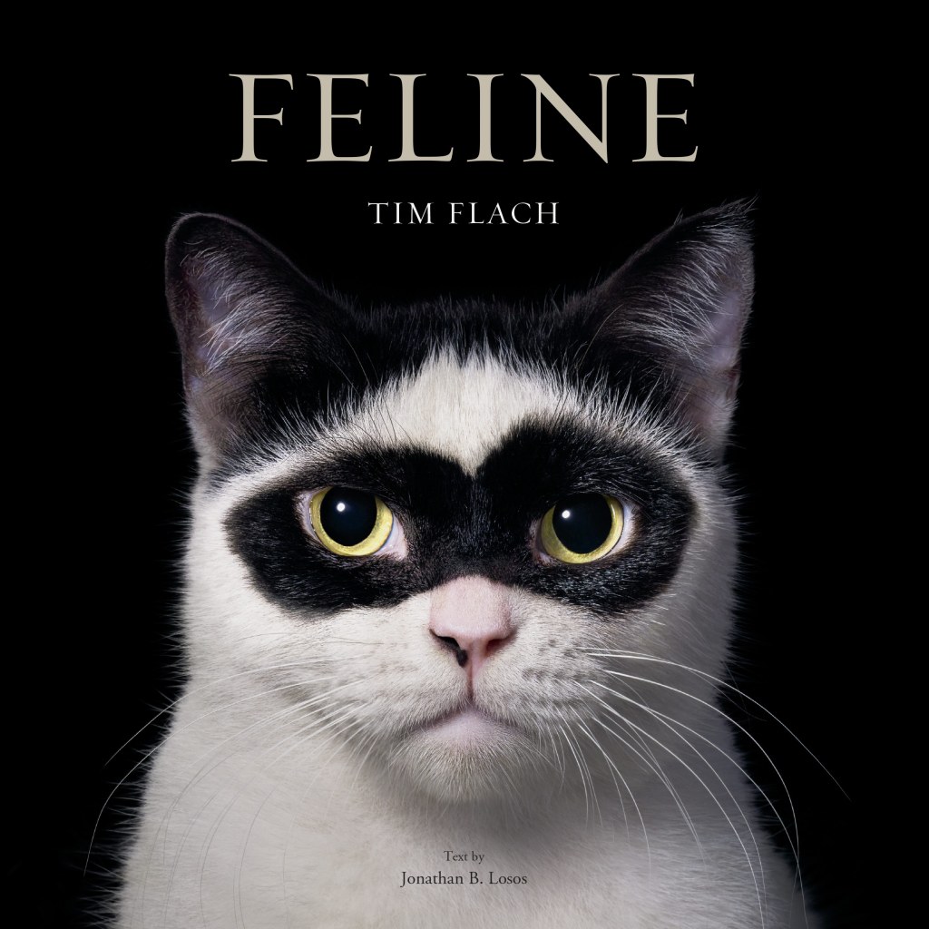 Cover of Tim Flach's stunning new book, FELINE. Square. Credit: Tim Flach. SINGLE USE ONLY