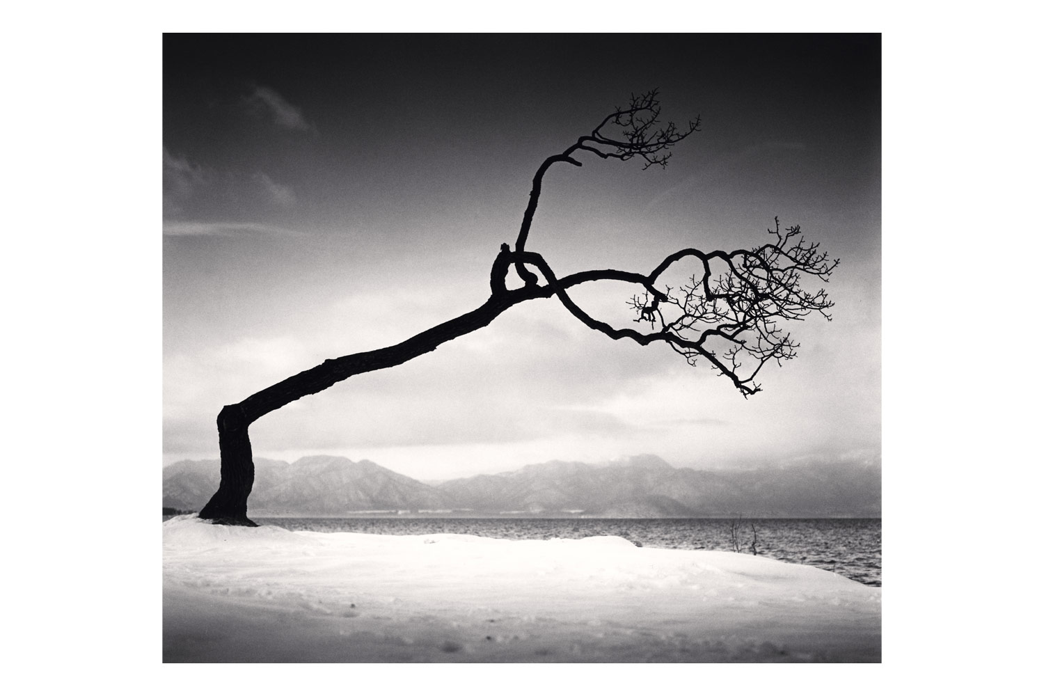 These beautiful Japanese prints will look amazing on your wall