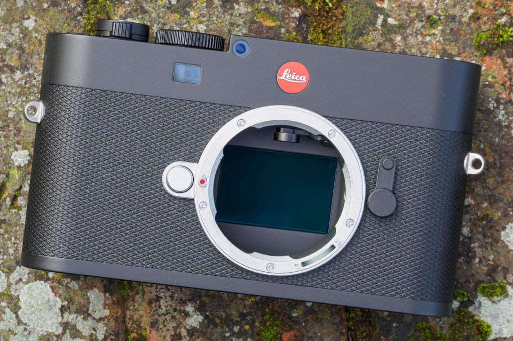Leica M-EV1 60MP sensor