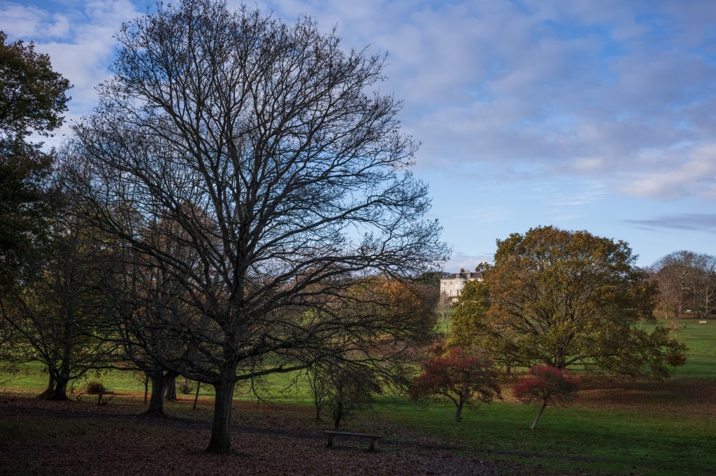 Leica M EV1 landscape sample image