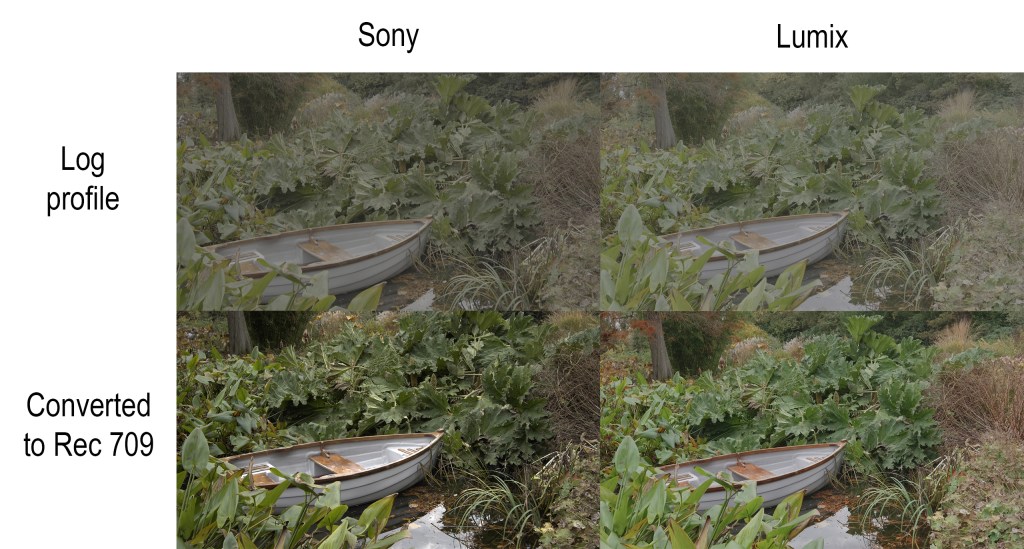 Sony vs Lumix for video