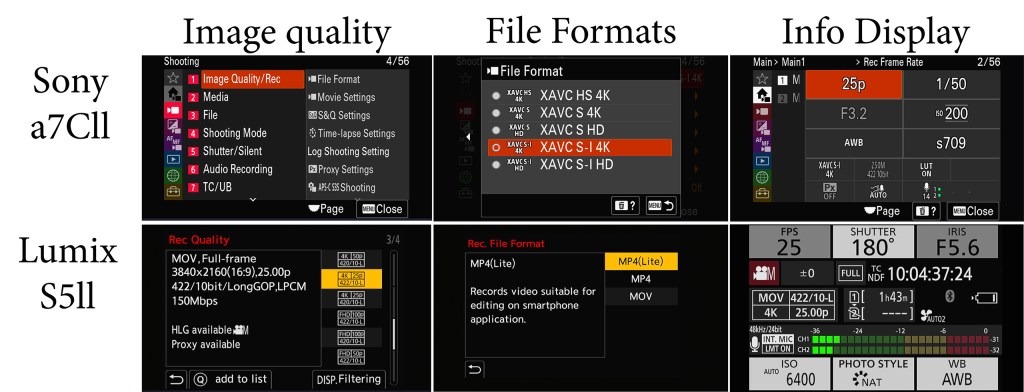 Sony vs Lumix for video