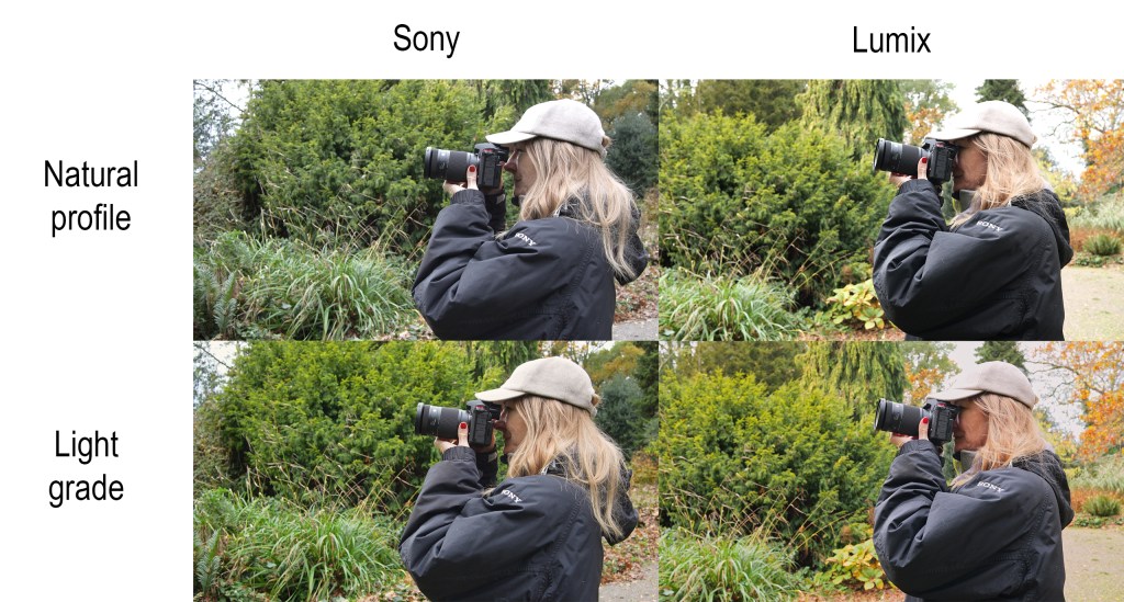 Sony vs Lumix for video